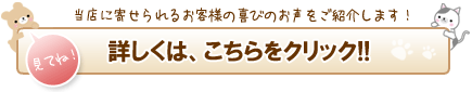 お客様の喜びの声