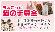本で募金プロジェクト