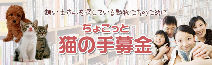 ちょこっと猫の手募金