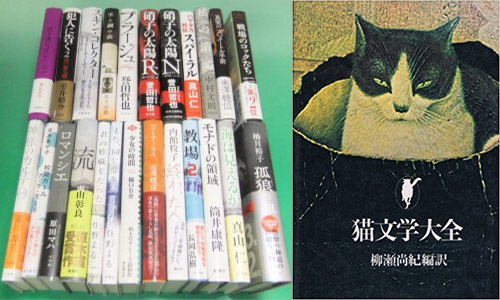 マニアックな作家