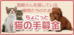 ちょこっと猫の手募金