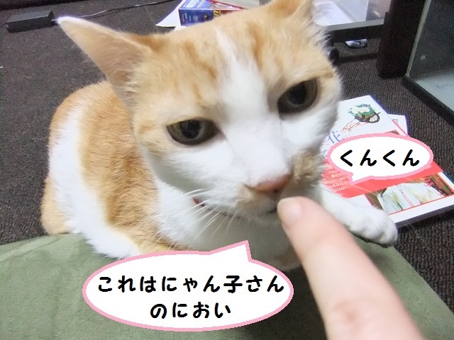 が 匂い 猫 嫌い な