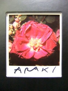 araki flower sign