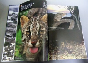 銀座　世界の動物遺産