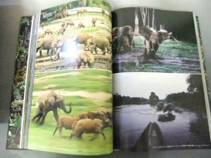 銀座　世界の動物遺産　写真集