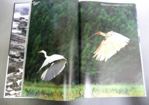 銀座　世界の動物遺産