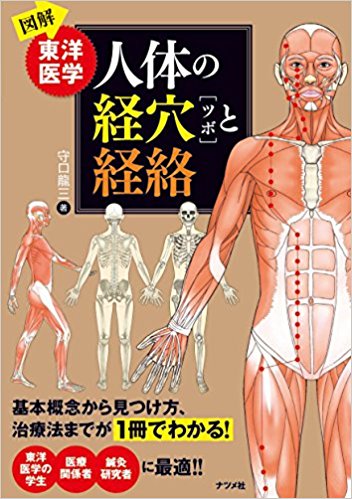 図解 東洋医学 人体の経穴[ツボ]と経絡