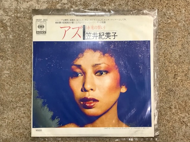 笠井紀美子