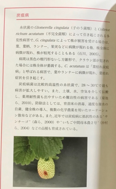 園芸 農学 生物学 専門書 出張買取