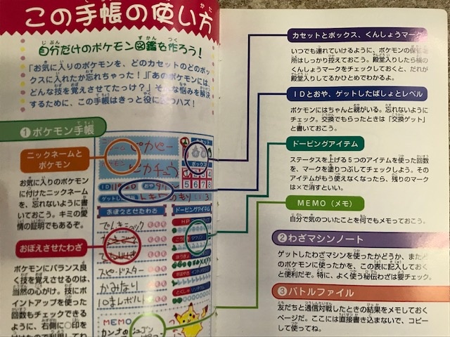 ダイパリメイク発売 あなたの世代のポケモンは くまねこ堂