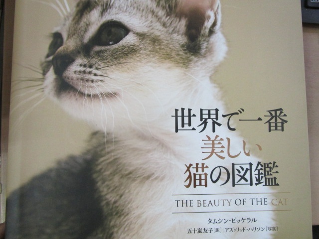 タムシン・ピッケラル著、アストリッド・ハリソン写真『世界で一番美しい猫の図鑑』五十嵐友子訳（エクスナレッジ、2014年）