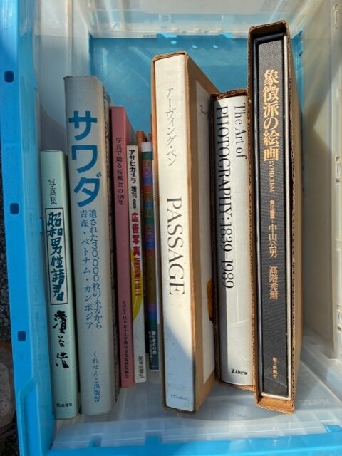 象徴派の絵画、アーヴィング・ペンPASSAGE、サワダ(くれせんと出版部)、昭和男性諸君 写真集