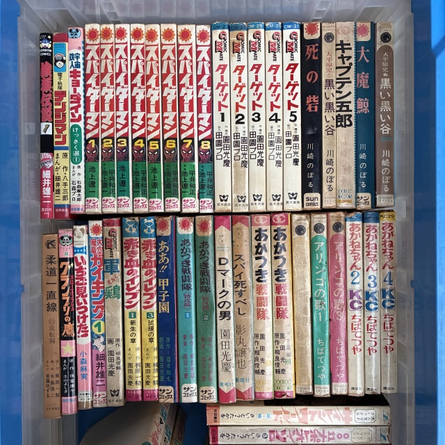 スパイダーマン、大魔鯨、園田光慶、池上遼一、影丸譲也