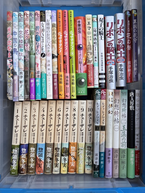 永野護　ファイブスター物語
手塚治虫　リボンの騎士
チェザーレ　コミックセット